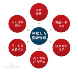 鄭州社保公積金代理、勞務(wù)派遣及人事外包服務(wù)市場(chǎng)概況